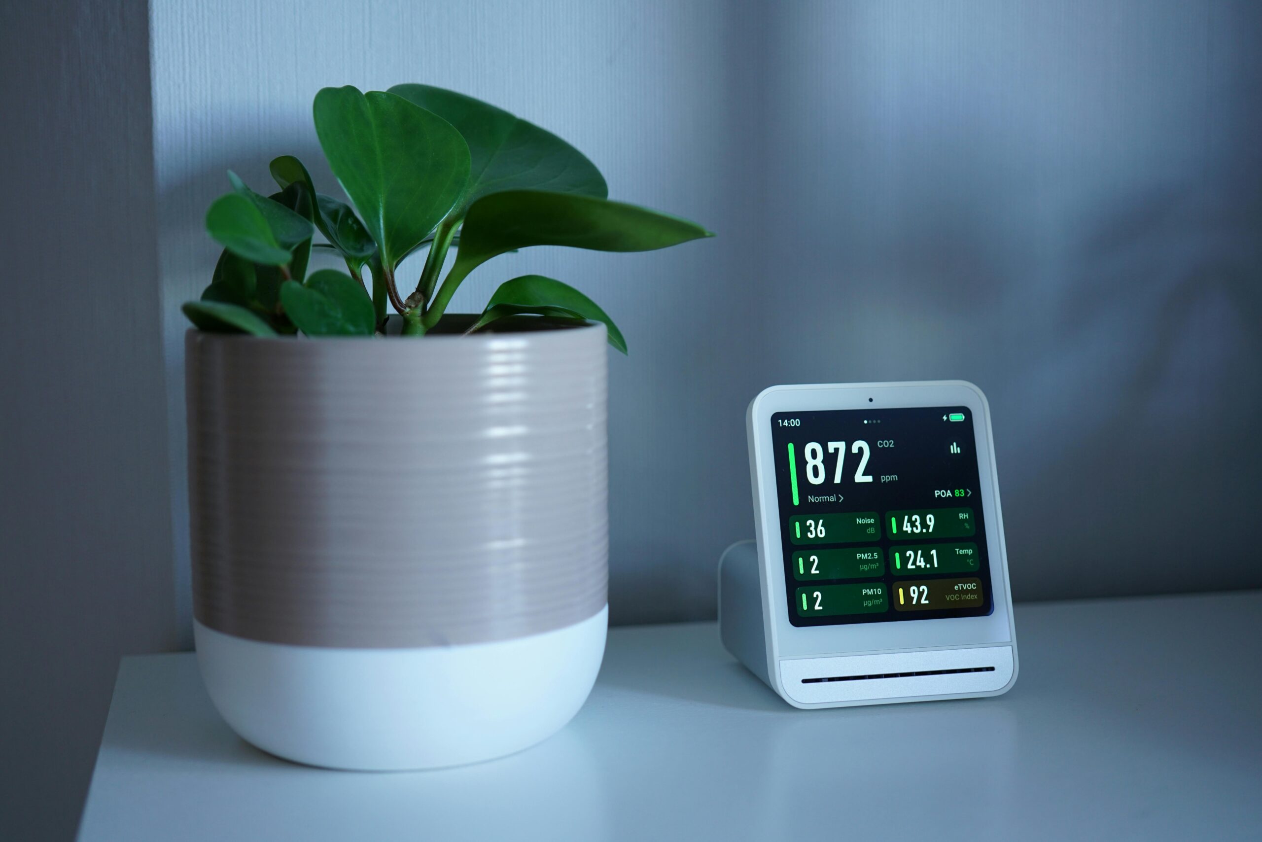 Indoor plant beside an air quality monitor on a table, representing energy efficiency and sustainable home living